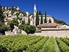 Вината на Languedoc